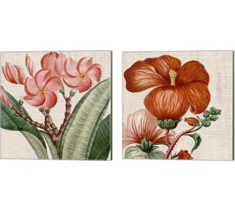 Cropped Turpin Tropicals 2 Piece Canvas Print Set by Vision Studio