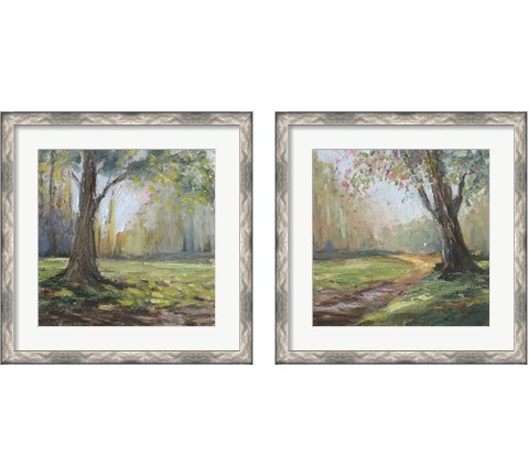 Path to the Tree 2 Piece Framed Art Print Set by Sandra Iafrate