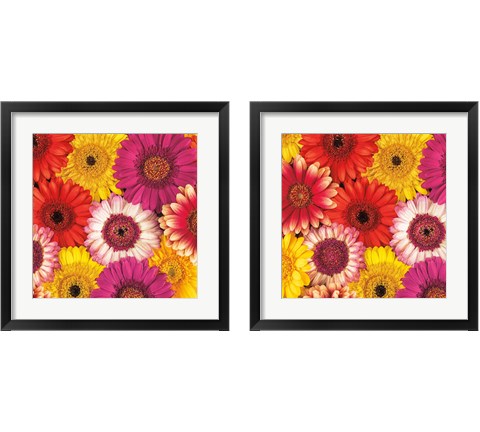 Splash of Color 2 Piece Framed Art Print Set by Assaf Frank