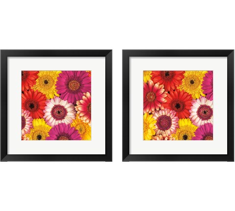 Splash of Color 2 Piece Framed Art Print Set by Assaf Frank