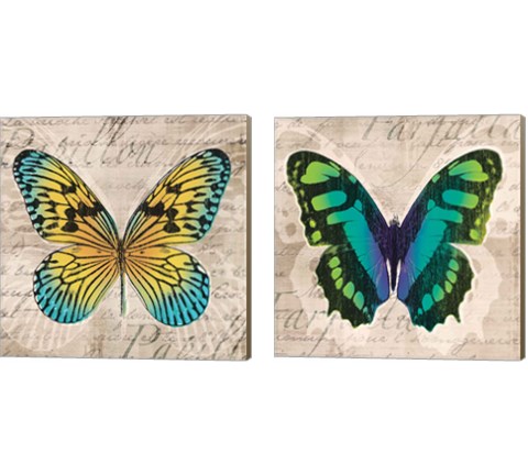 Butterflies  2 Piece Canvas Print Set by Tandi Venter