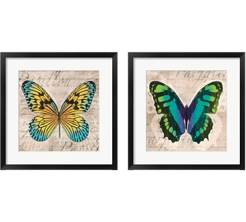Butterflies  2 Piece Framed Art Print Set by Tandi Venter