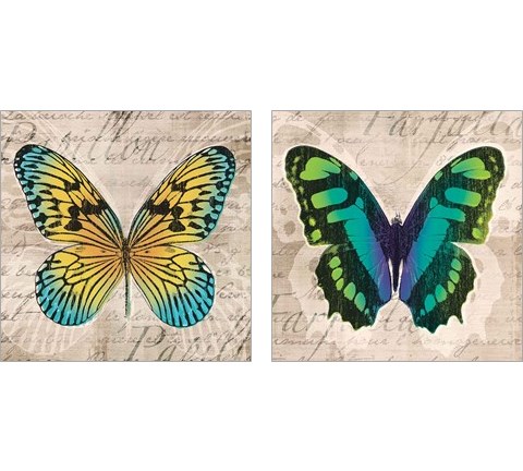 Butterflies  2 Piece Art Print Set by Tandi Venter