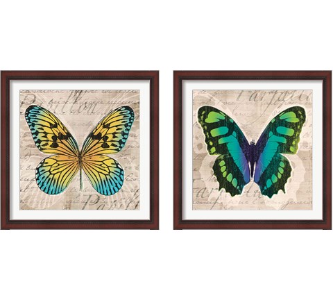 Butterflies  2 Piece Framed Art Print Set by Tandi Venter