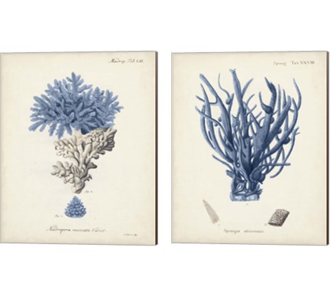 Antique Coral in Navy 2 Piece Canvas Print Set by Johann Esper