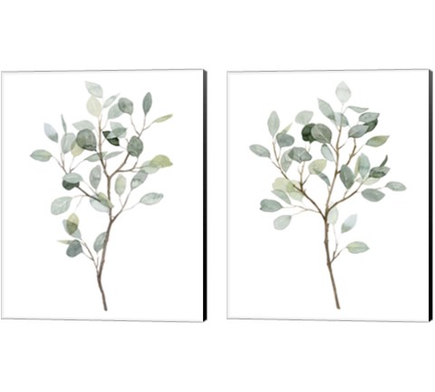 Seaglass Eucalyptus 2 Piece Canvas Print Set by Grace Popp