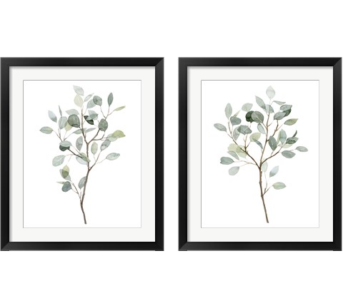Seaglass Eucalyptus 2 Piece Framed Art Print Set by Grace Popp