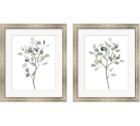 Seaglass Eucalyptus 2 Piece Framed Art Print Set by Grace Popp