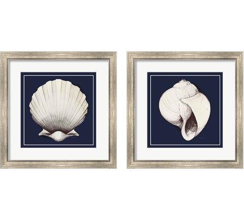 Coastal Shell 2 Piece Framed Art Print Set by Avery Tillmon