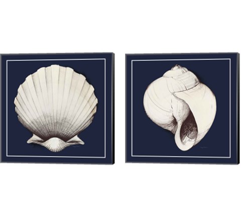 Coastal Shell 2 Piece Canvas Print Set by Avery Tillmon