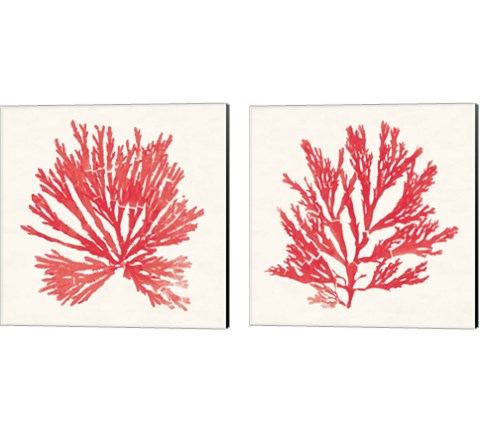 Pacific Sea Mosses Red 2 Piece Canvas Print Set by Wild Apple Portfolio
