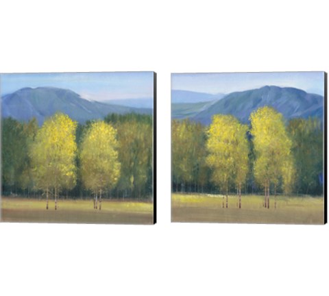 Shaft of Light 2 Piece Canvas Print Set by Timothy O'Toole