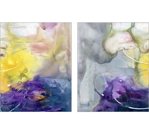 Floating Colors 2 Piece Art Print Set by Joyce Combs