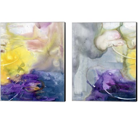 Floating Colors 2 Piece Canvas Print Set by Joyce Combs