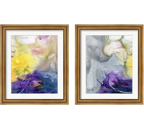 Floating Colors 2 Piece Framed Art Print Set by Joyce Combs