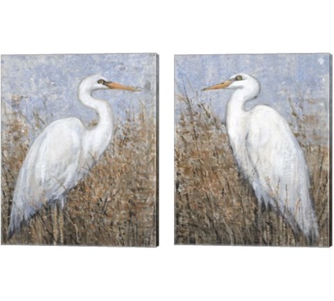 White Heron 2 Piece Canvas Print Set by Timothy O'Toole