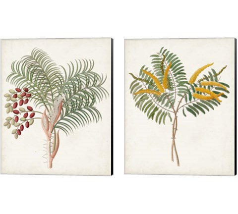 Botanical of the Tropics 2 Piece Canvas Print Set