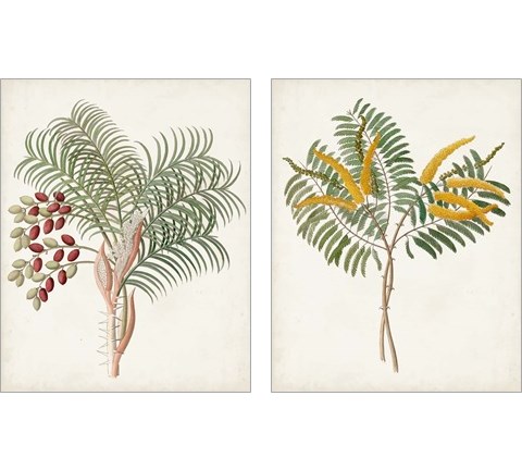 Botanical of the Tropics 2 Piece Art Print Set