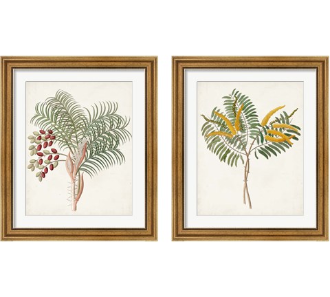 Botanical of the Tropics 2 Piece Framed Art Print Set