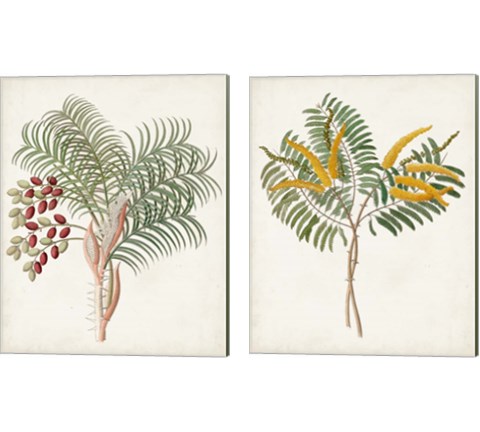 Botanical of the Tropics 2 Piece Canvas Print Set