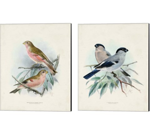 Antique Birds 2 Piece Canvas Print Set