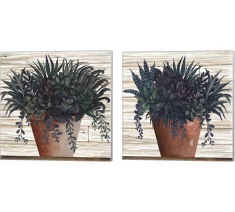 Remarkable Succulents 2 Piece Canvas Print Set by Cindy Jacobs