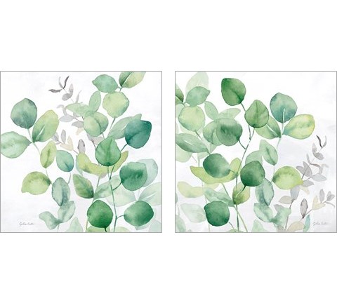 Eucalyptus Leaves 2 Piece Art Print Set by Cynthia Coulter