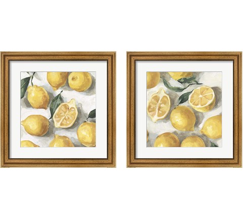 Fresh Lemons 2 Piece Framed Art Print Set by Emma Caroline