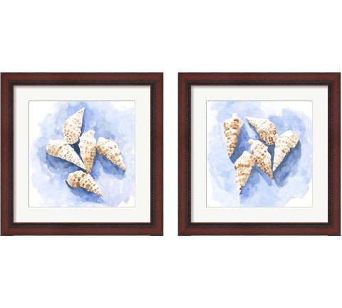 Shell Impressions 2 Piece Framed Art Print Set by Emma Caroline