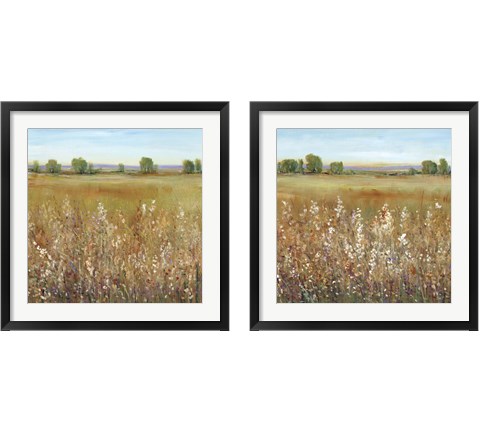 Abundance of Wildflowers 2 Piece Framed Art Print Set by Timothy O'Toole