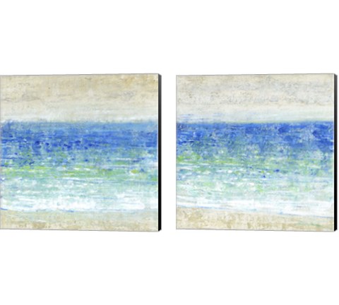 Ocean Impressions 2 Piece Canvas Print Set by Timothy O'Toole