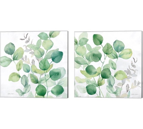 Eucalyptus Leaves 2 Piece Canvas Print Set by Cynthia Coulter