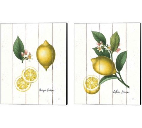 Cottage Lemon 2 Piece Canvas Print Set by Sue Schlabach
