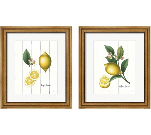 Cottage Lemon 2 Piece Framed Art Print Set by Sue Schlabach