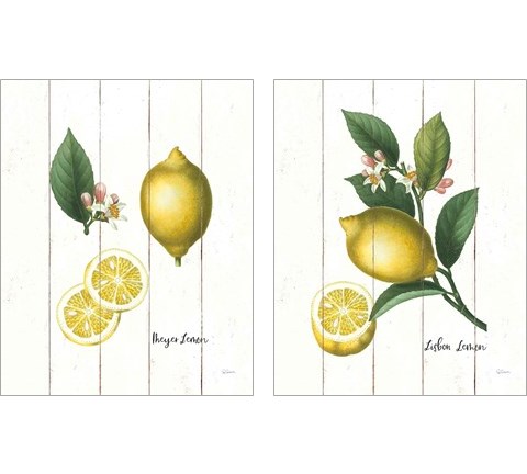 Cottage Lemon 2 Piece Art Print Set by Sue Schlabach