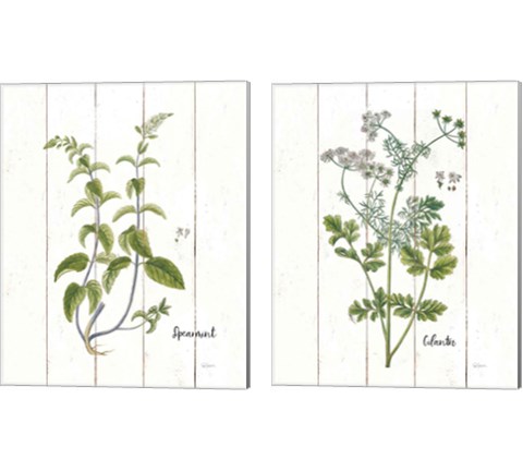 Cottage Herbs 2 Piece Canvas Print Set by Sue Schlabach