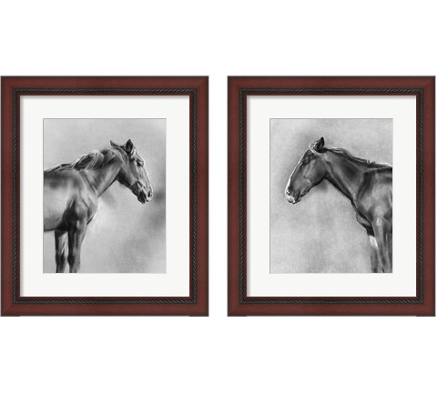 Charcoal Equine Portrait 2 Piece Framed Art Print Set by Emma Caroline
