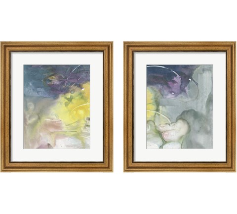 Softest Light 2 Piece Framed Art Print Set by Joyce Combs