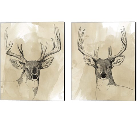 Burnished Buck 2 Piece Canvas Print Set by Grace Popp