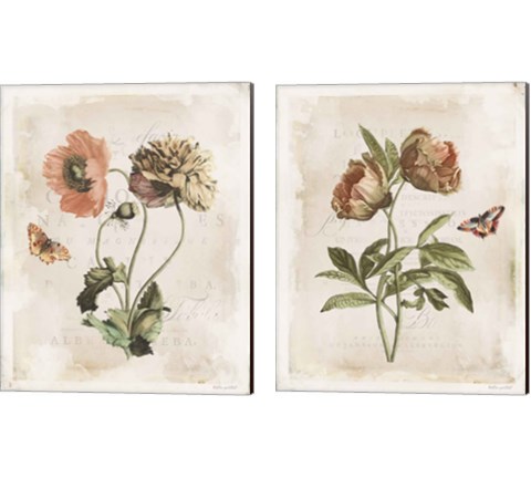 Antiquarian Blooms 2 Piece Canvas Print Set by Katie Pertiet