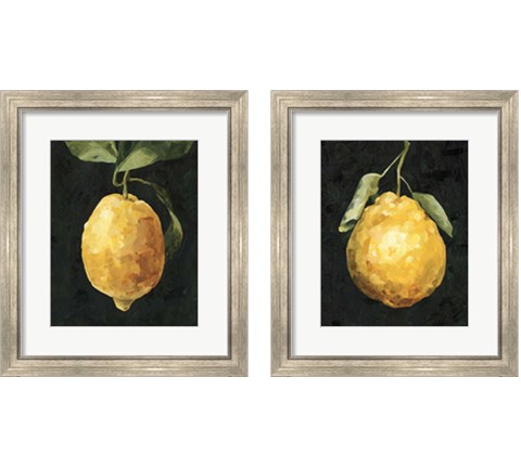 Dark Lemon 2 Piece Framed Art Print Set by Emma Caroline