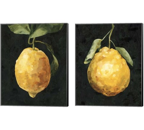 Dark Lemon 2 Piece Canvas Print Set by Emma Caroline