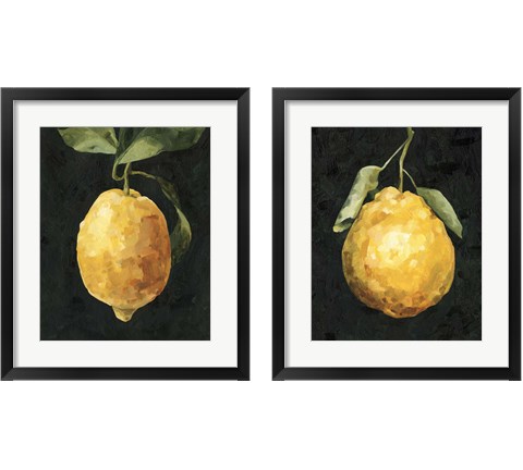 Dark Lemon 2 Piece Framed Art Print Set by Emma Caroline