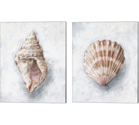 White Shell Study 2 Piece Canvas Print Set by Ethan Harper