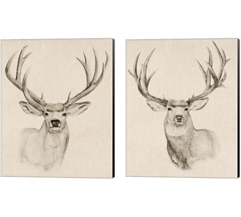 Natural Buck 2 Piece Canvas Print Set by Annie Warren