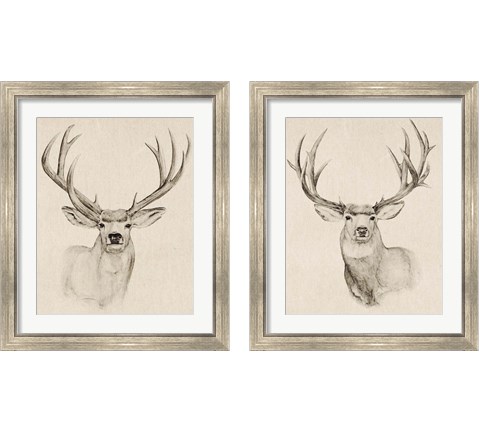 Natural Buck 2 Piece Framed Art Print Set by Annie Warren