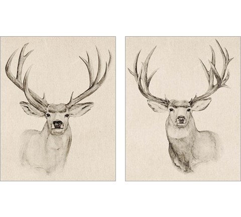 Natural Buck 2 Piece Art Print Set by Annie Warren