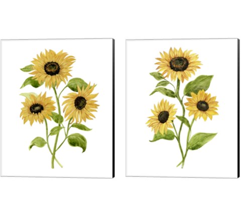 Sunflower Trio 2 Piece Canvas Print Set by Annie Warren