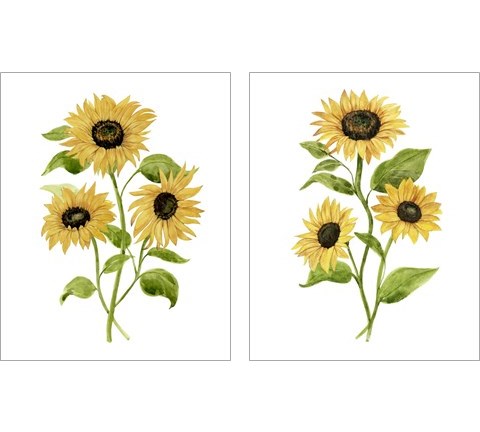 Sunflower Trio 2 Piece Art Print Set by Annie Warren