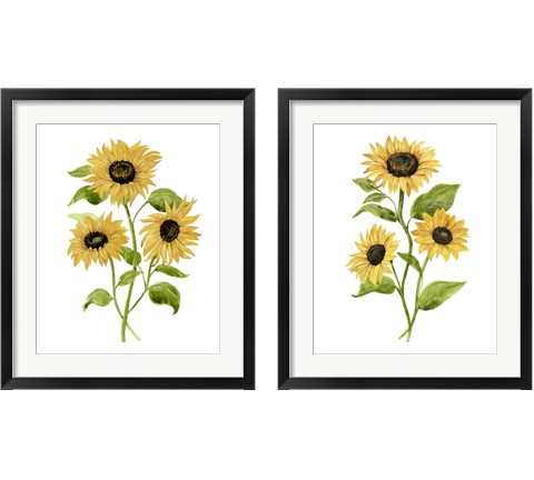 Sunflower Trio 2 Piece Framed Art Print Set by Annie Warren